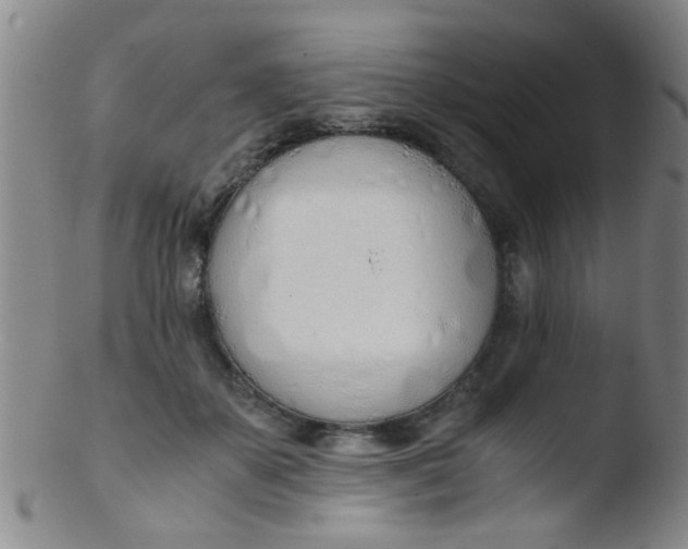 X0000103500507200809262016