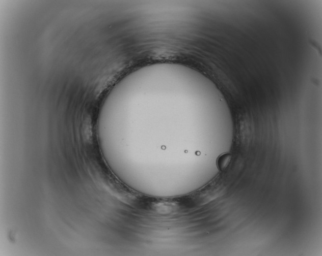 X0000103500508200809262016