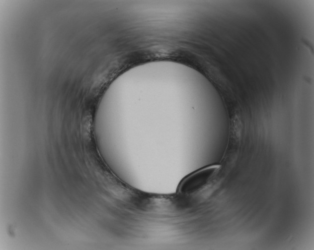 X0000103500509200809262016