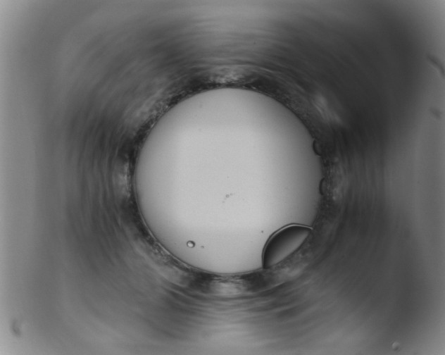 X0000103500510200809262016