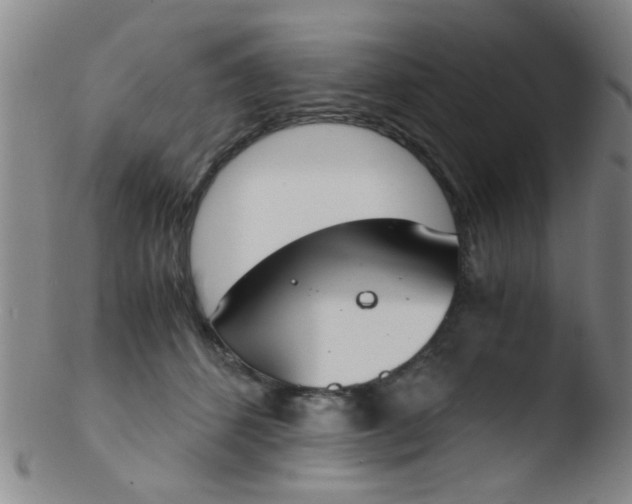 X0000103500512200809262016