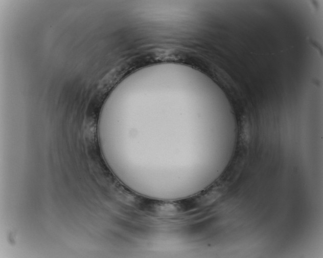 X0000103500513200809262016