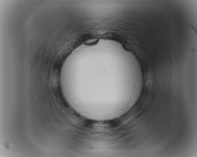 X0000103500515200809262016