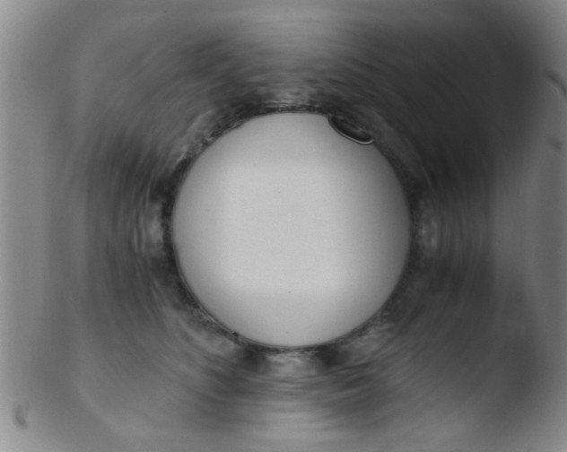 X0000103500516200809262016