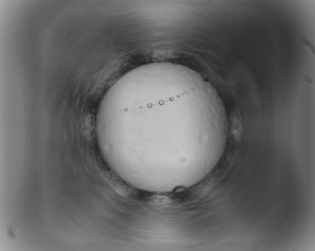 X0000103500519200809262016