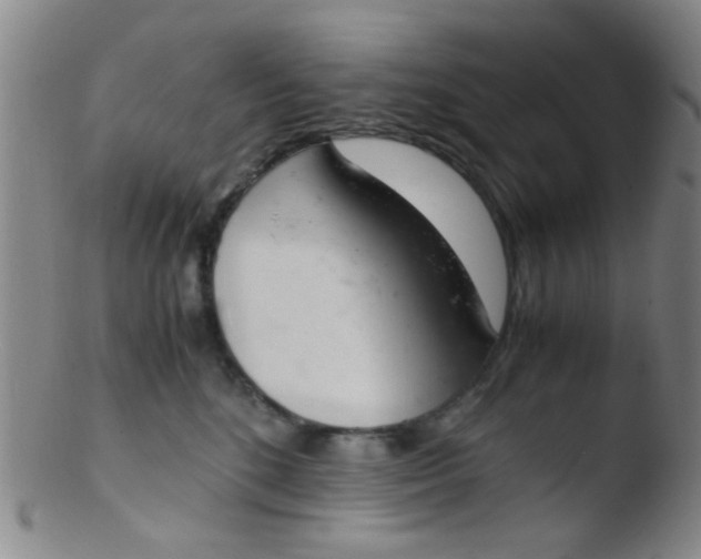 X0000103500520200809262016