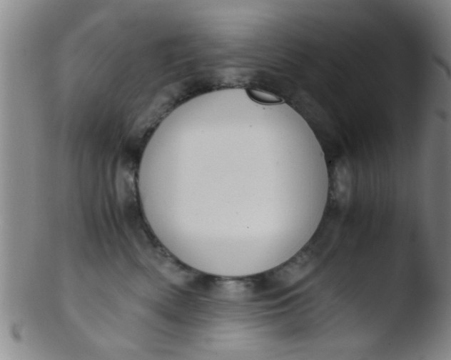 X0000103500522200809262016