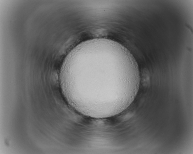 X0000103500523200809262016