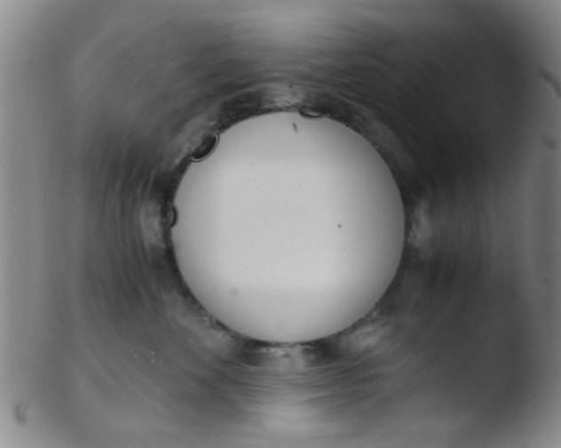 X0000103500524200809262016