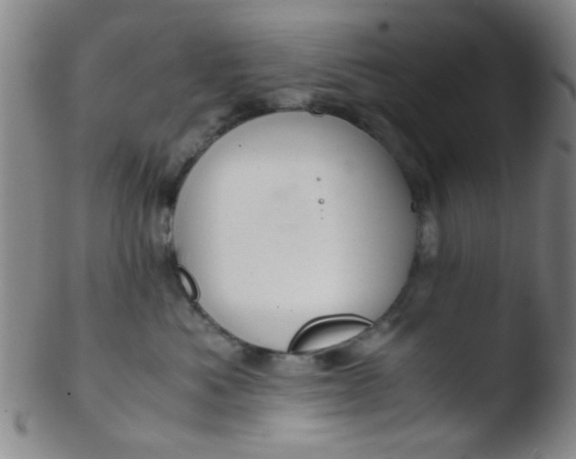 X0000103500525200809262016