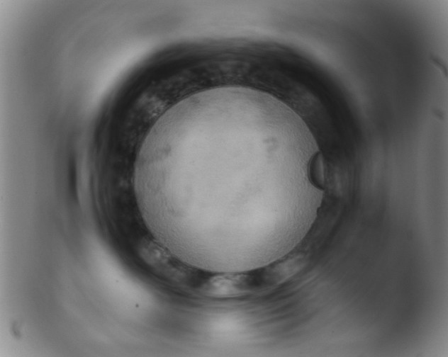 X0000103500526200809262016