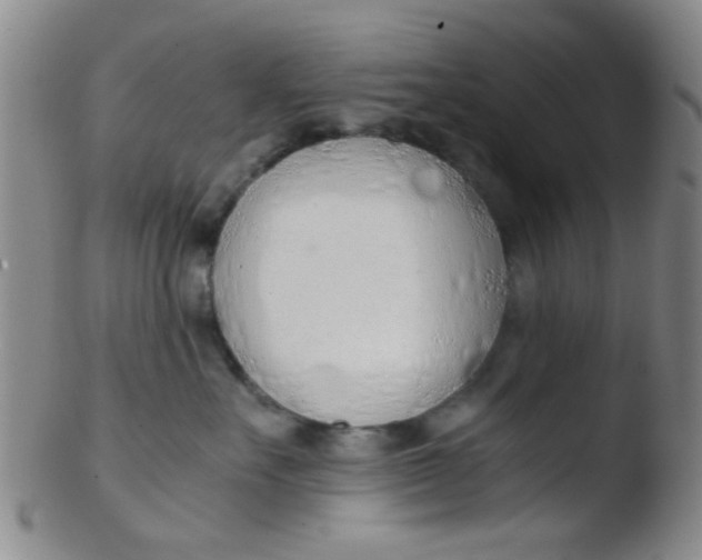 X0000103500527200809262016