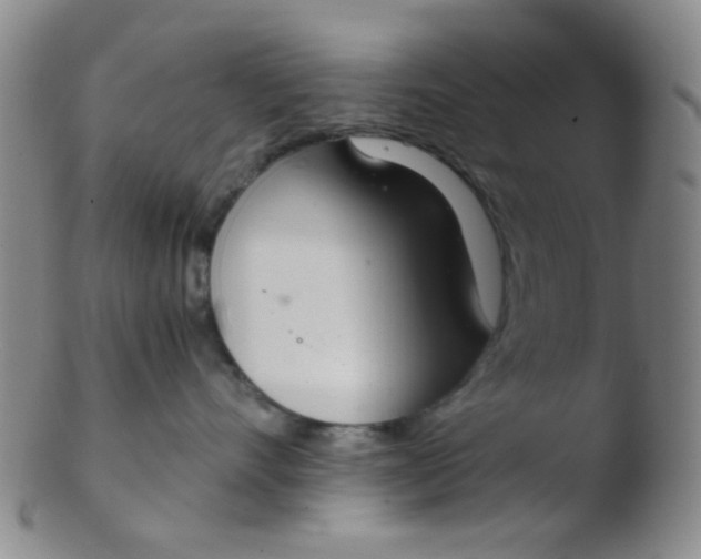 X0000103500528200809262016