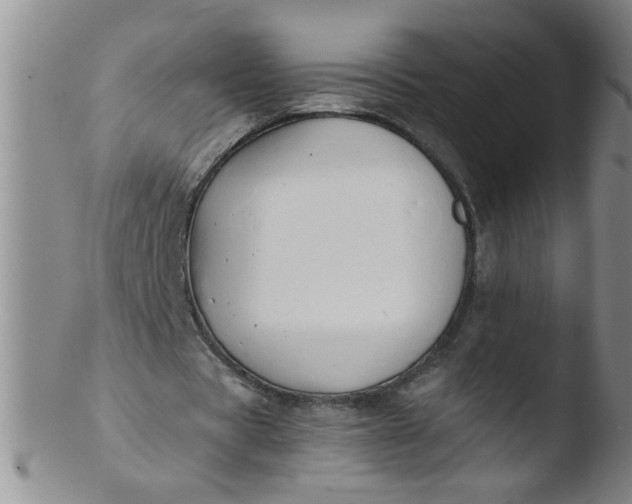 X0000103500529200809262015