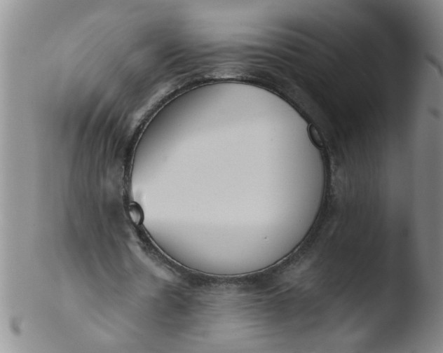 X0000103500530200809262016