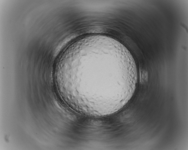 X0000103500531200809262016