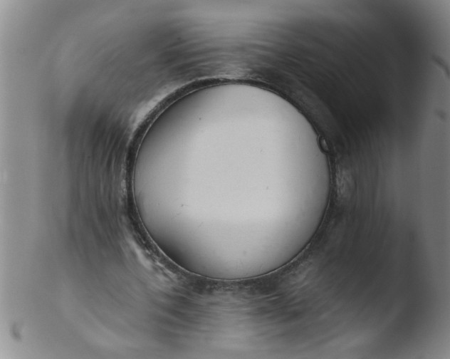 X0000103500532200809262016