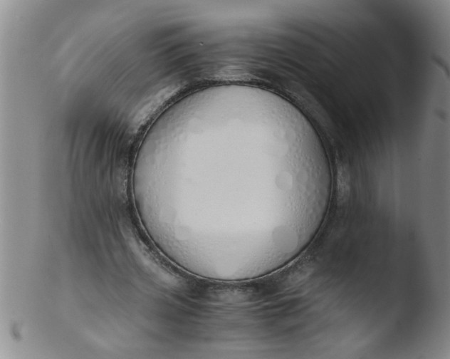 X0000103500533200809262016