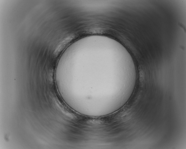 X0000103500537200809262016