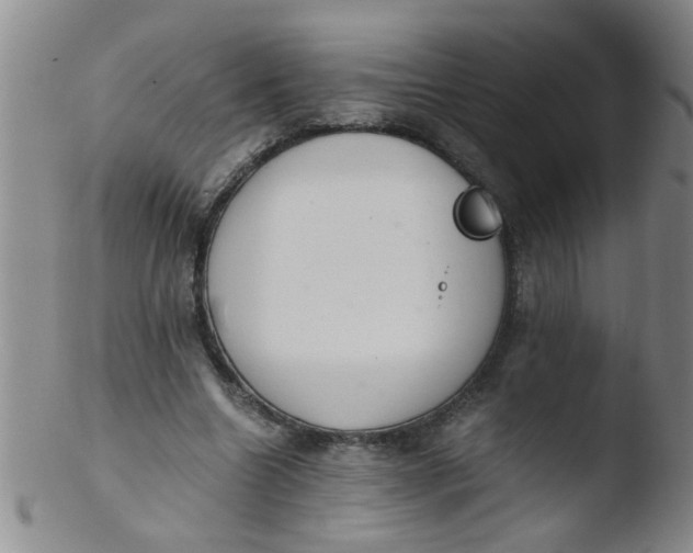 X0000103500538200809262016