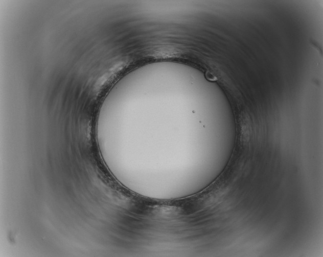 X0000103500539200809262016