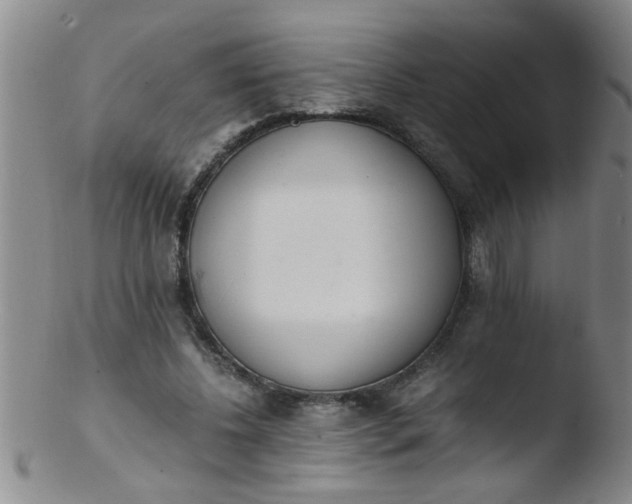 X0000103500540200809262016