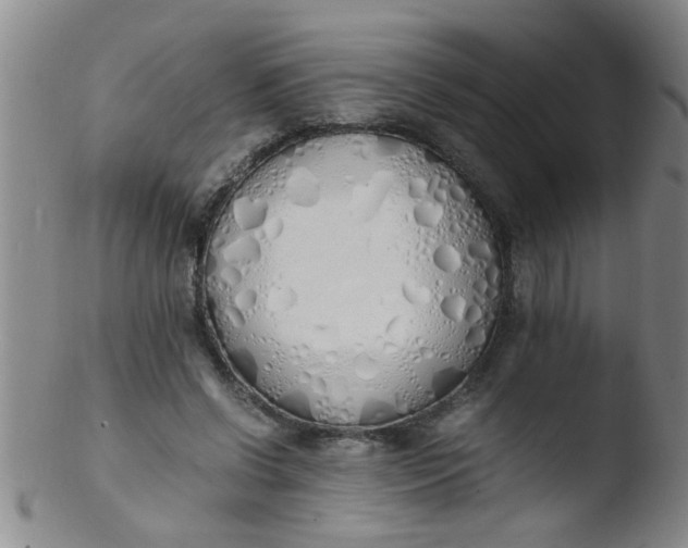 X0000103500542200809262016