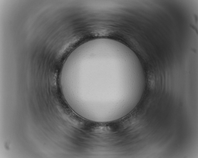 X0000103500543200809262016