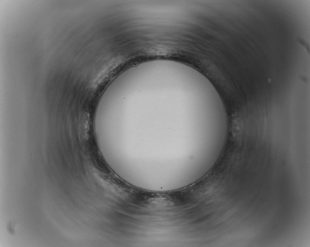 X0000103500544200809262016