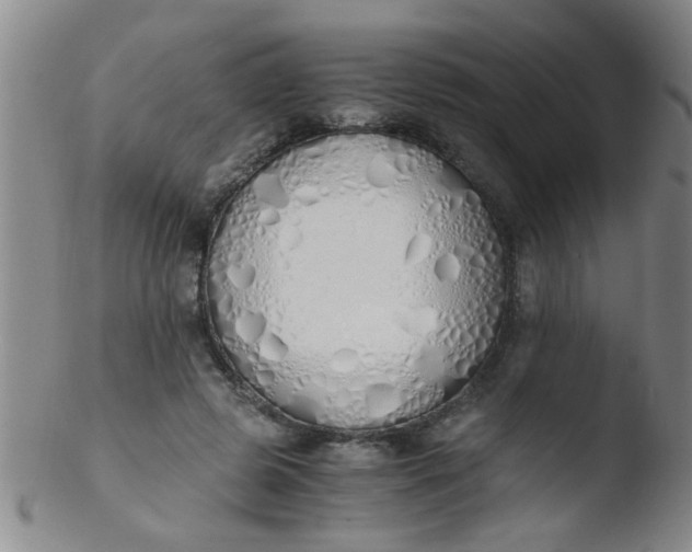 X0000103500545200809262016