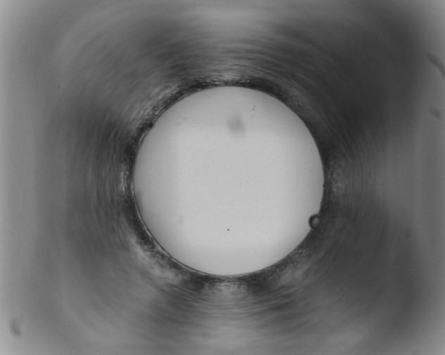 X0000103500546200809262016