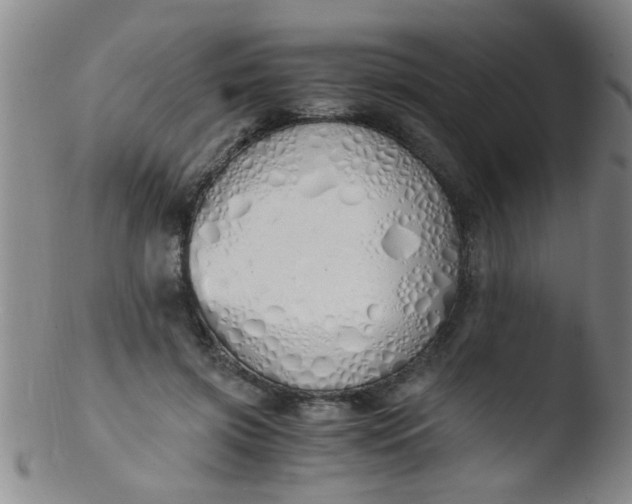 X0000103500549200809262016