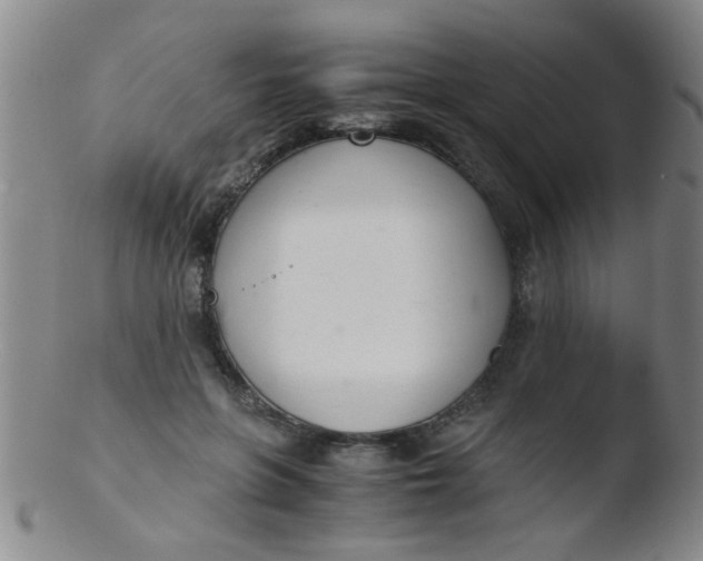 X0000103500551200809262016