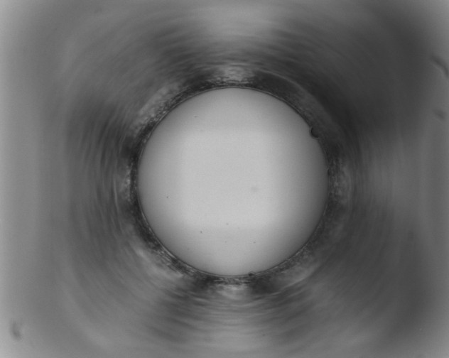 X0000103500552200809262016