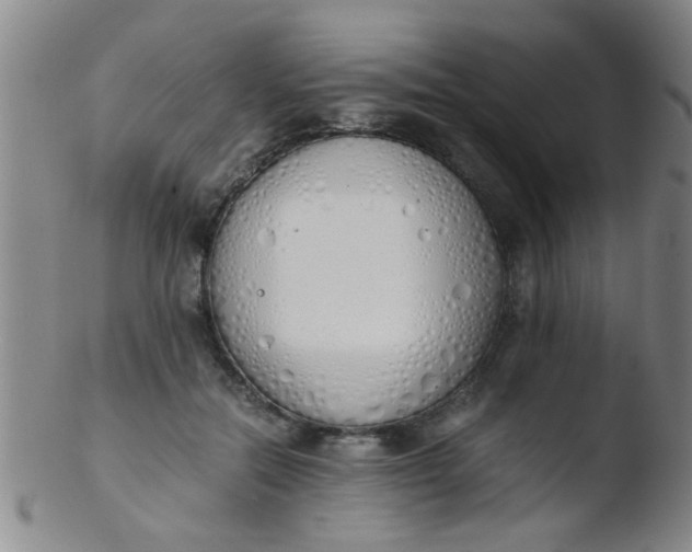 X0000103500554200809262016