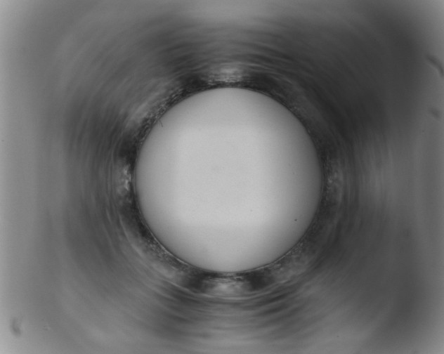 X0000103500555200809262016