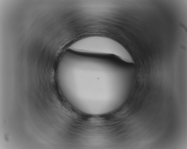 X0000103500556200809262016