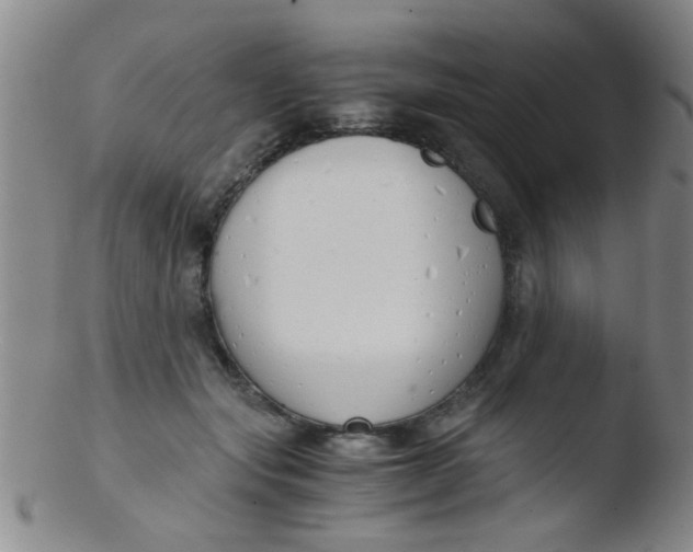 X0000103500557200809262016