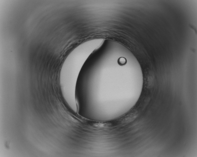 X0000103500558200809262016