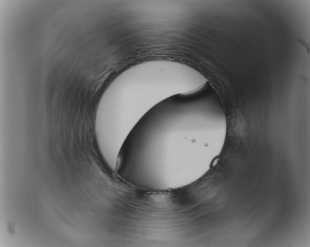 X0000103500560200809262016