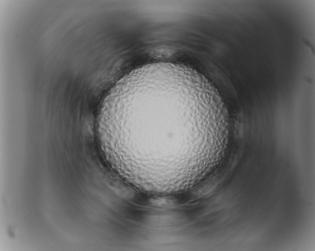 X0000103500561200809262016