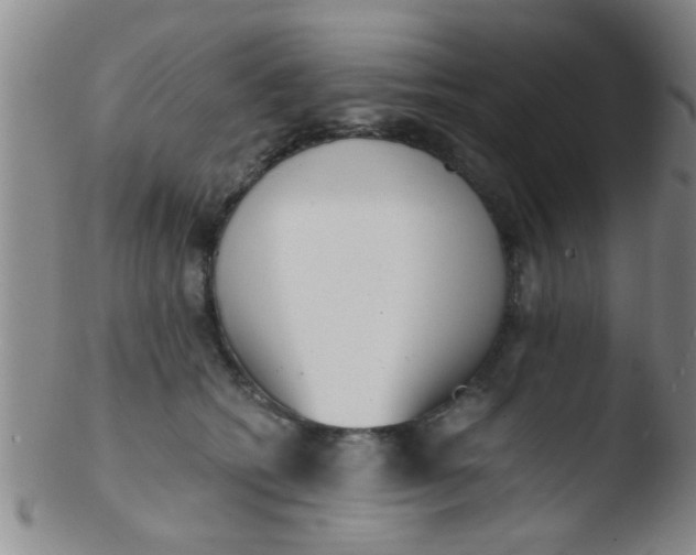 X0000103500562200809262016