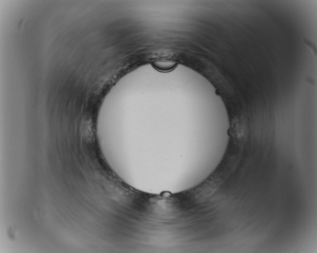 X0000103500564200809262016