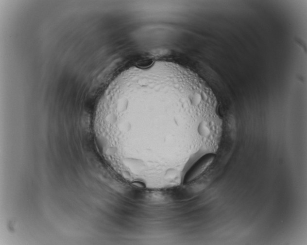 X0000103500565200809262016