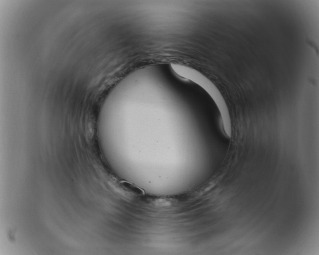 X0000103500566200809262016