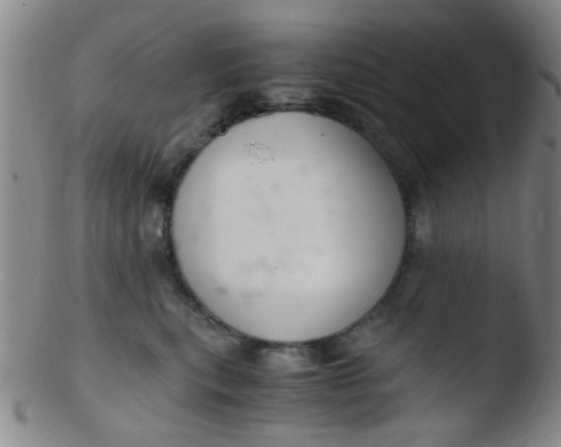 X0000103500567200809262016