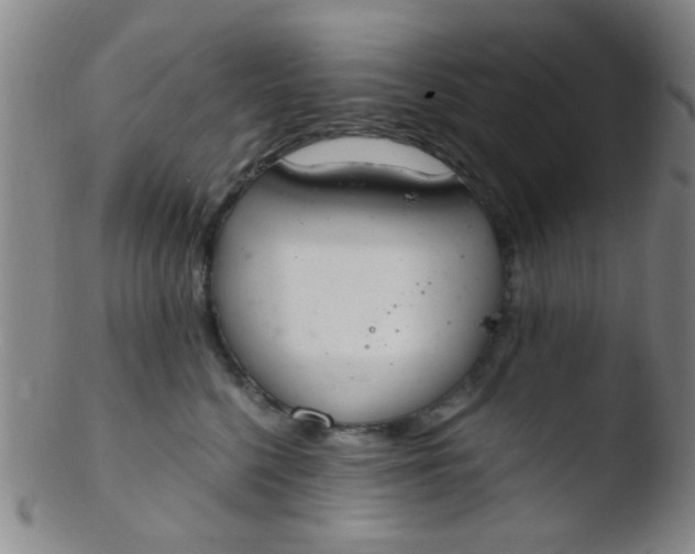 X0000103500568200809262016