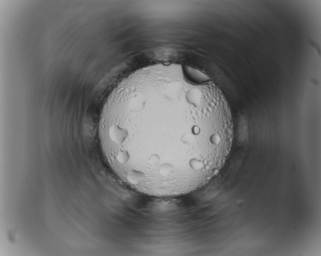 X0000103500569200809262016