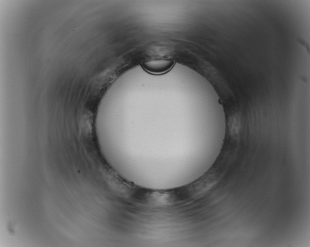 X0000103500570200809262016