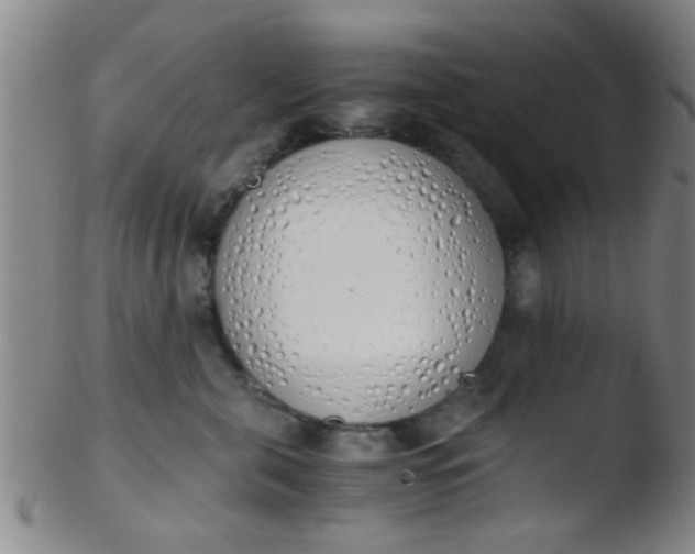 X0000103500571200809262016